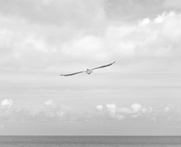 7a038557 f435 3f10 b49e 8ea9281c96fd