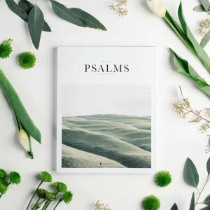 Psalms Spiritual Reflections