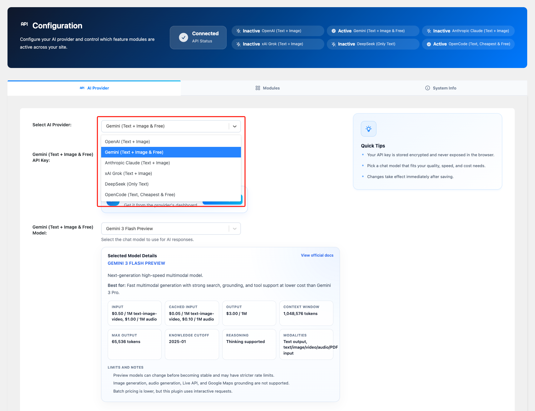 Antimanual AI API configuration — choosing a provider and pasting an API key