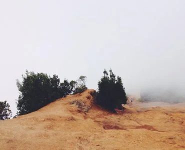 60a56a91 e4b3 393a 8f33 e5d2e246b6de