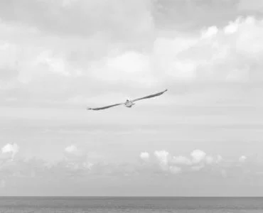 7a038557 f435 3f10 b49e 8ea9281c96fd